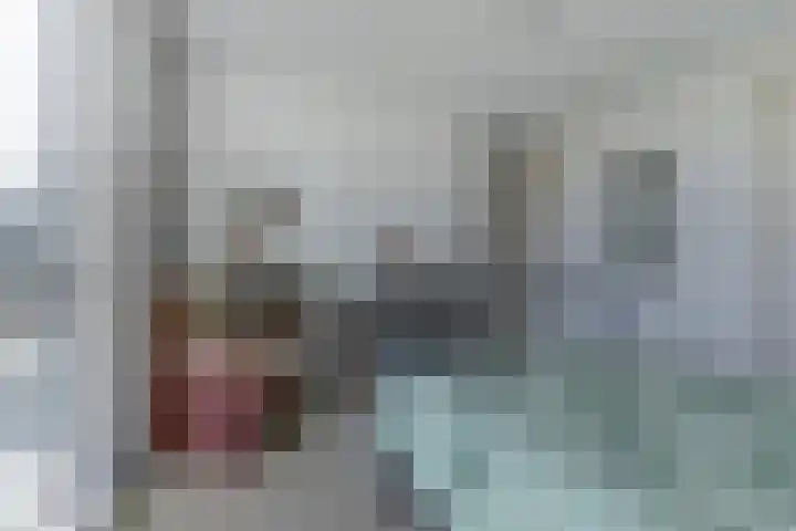 Spaaneindsestraat 10 Esbeek thumbnail 20