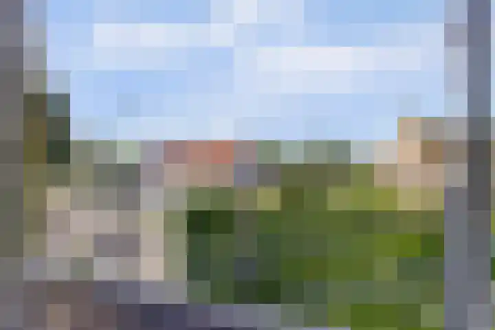 Spaaneindsestraat 10 Esbeek thumbnail 24