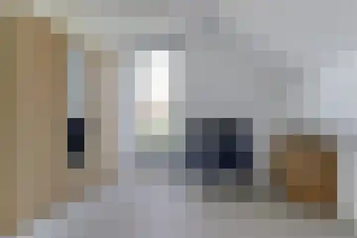 Spaaneindsestraat 10 Esbeek thumbnail 25