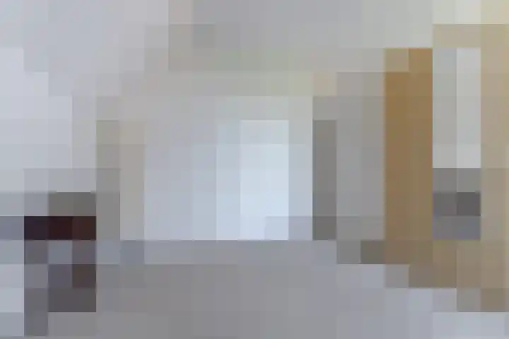 Spaaneindsestraat 10 Esbeek thumbnail 26