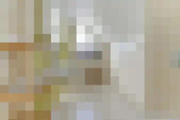 Spaaneindsestraat 10 Esbeek thumbnail 27