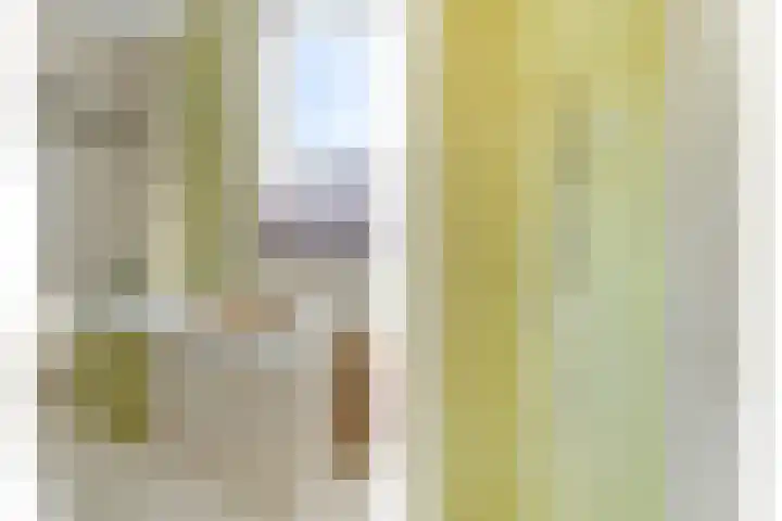 Spaaneindsestraat 10 Esbeek thumbnail 29