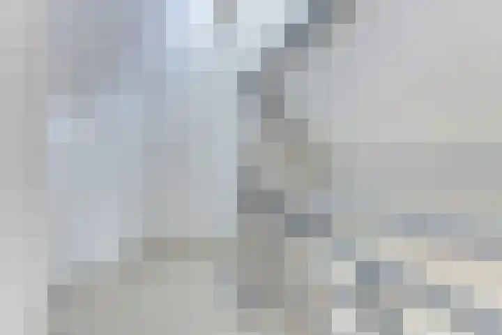 Spaaneindsestraat 10 Esbeek thumbnail 30
