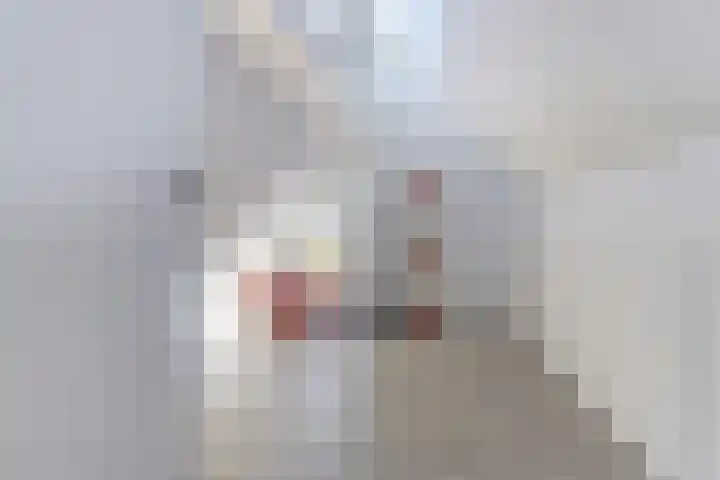 Spaaneindsestraat 10 Esbeek thumbnail 31
