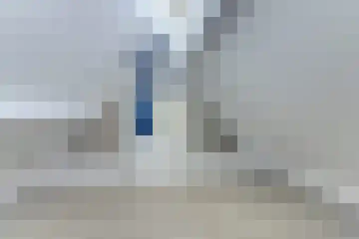 Spaaneindsestraat 10 Esbeek thumbnail 32