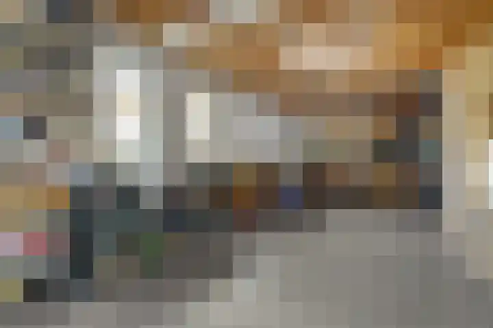 Spaaneindsestraat 10 Esbeek thumbnail 34