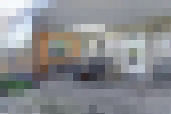 Spaaneindsestraat 10 Esbeek thumbnail 36