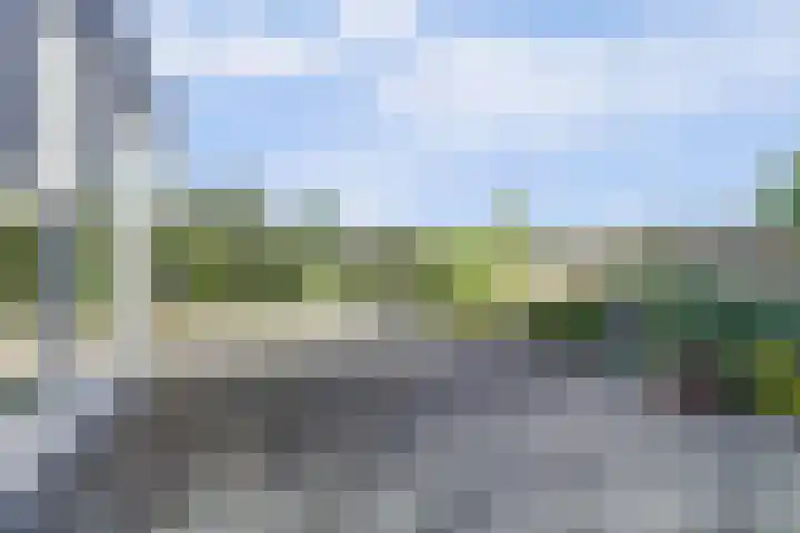 Spaaneindsestraat 10 Esbeek thumbnail 37