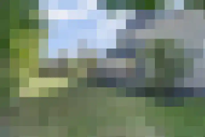 Spaaneindsestraat 10 Esbeek thumbnail 39