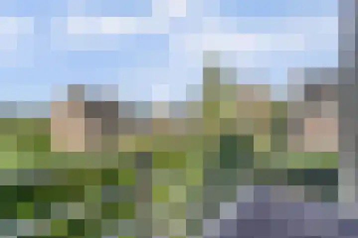 Spaaneindsestraat 10 Esbeek thumbnail 4