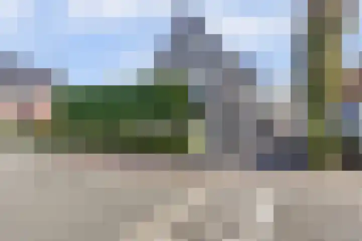 Spaaneindsestraat 10 Esbeek thumbnail 5