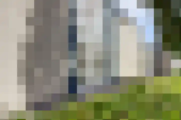 Spaaneindsestraat 10 Esbeek thumbnail 6