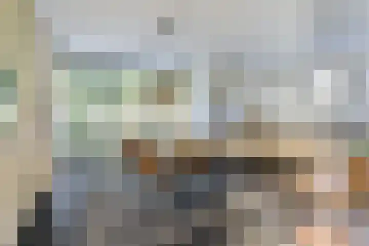 Spaaneindsestraat 10 Esbeek thumbnail 9