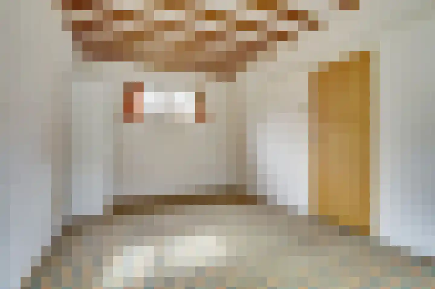 Spaaneindsestraat 6 Esbeek thumbnail 13