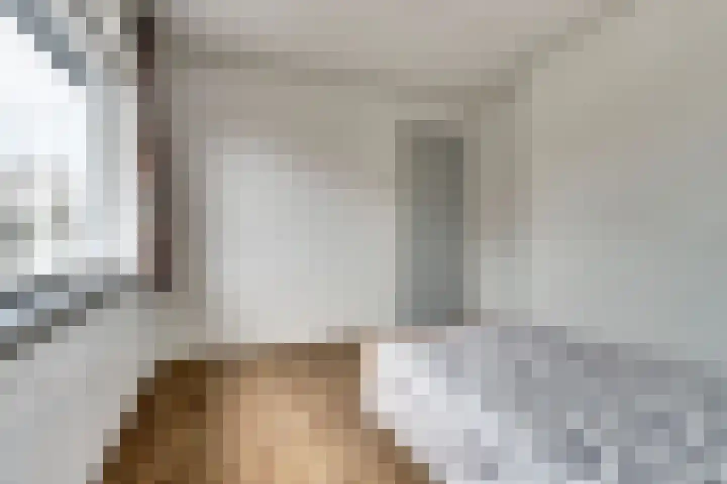 Spaaneindsestraat 6 Esbeek thumbnail 20