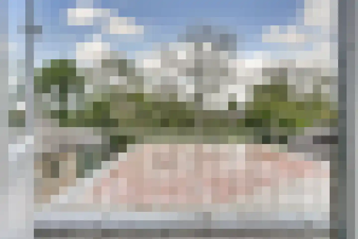 Spaaneindsestraat 6 Esbeek thumbnail 23