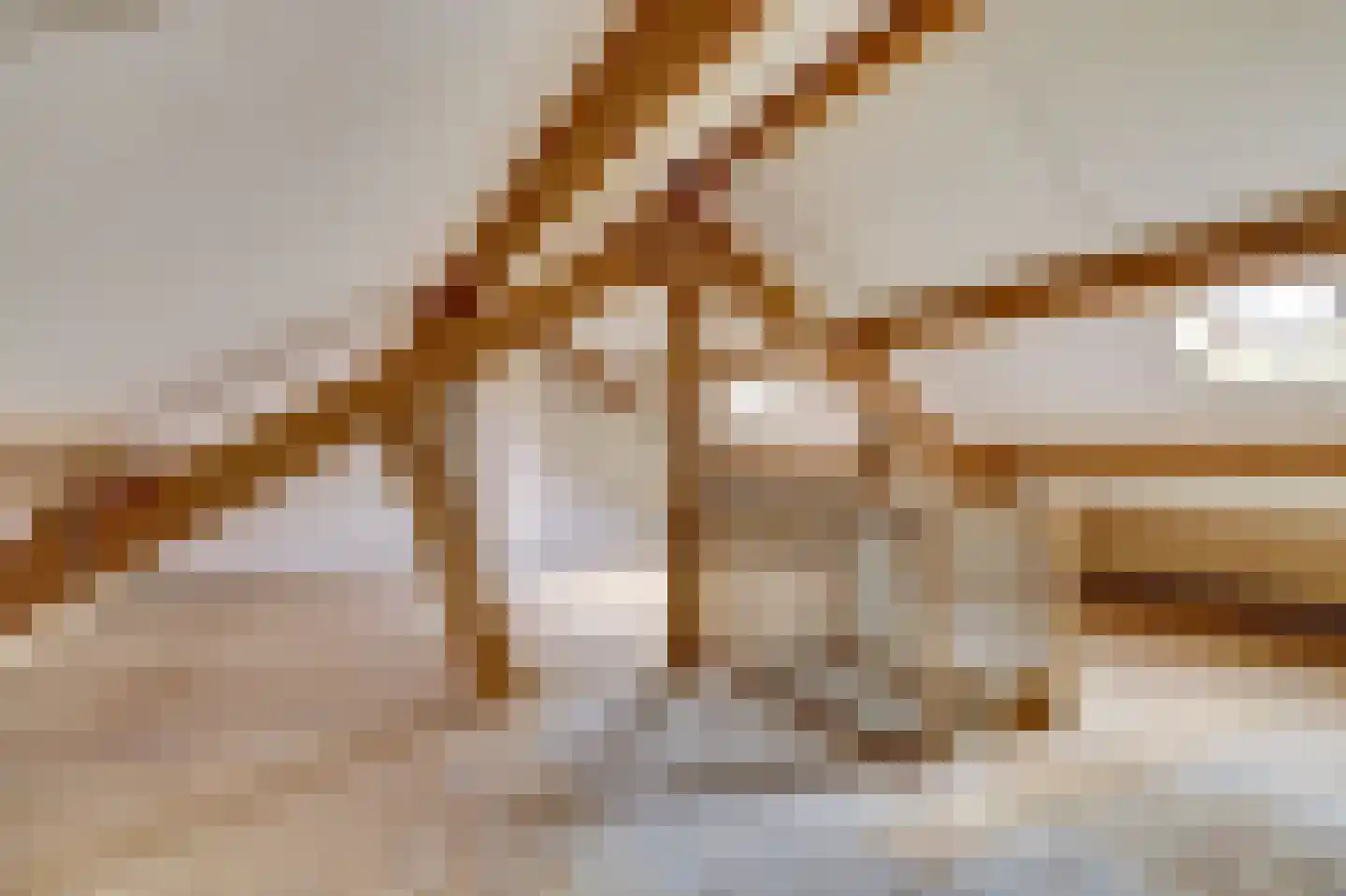 Spaaneindsestraat 6 Esbeek thumbnail 27