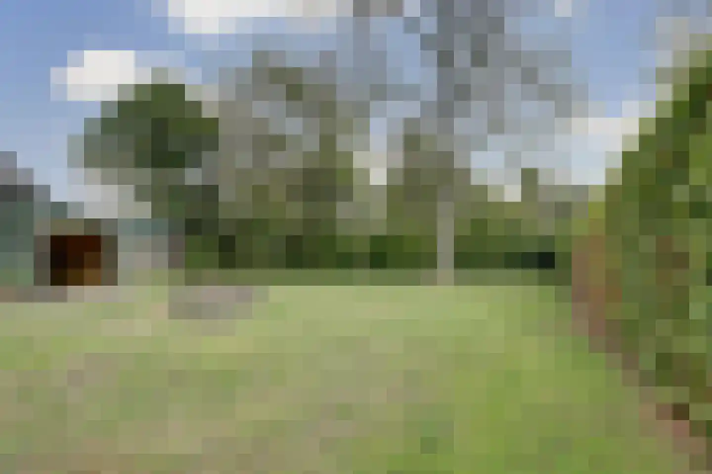 Spaaneindsestraat 6 Esbeek thumbnail 32