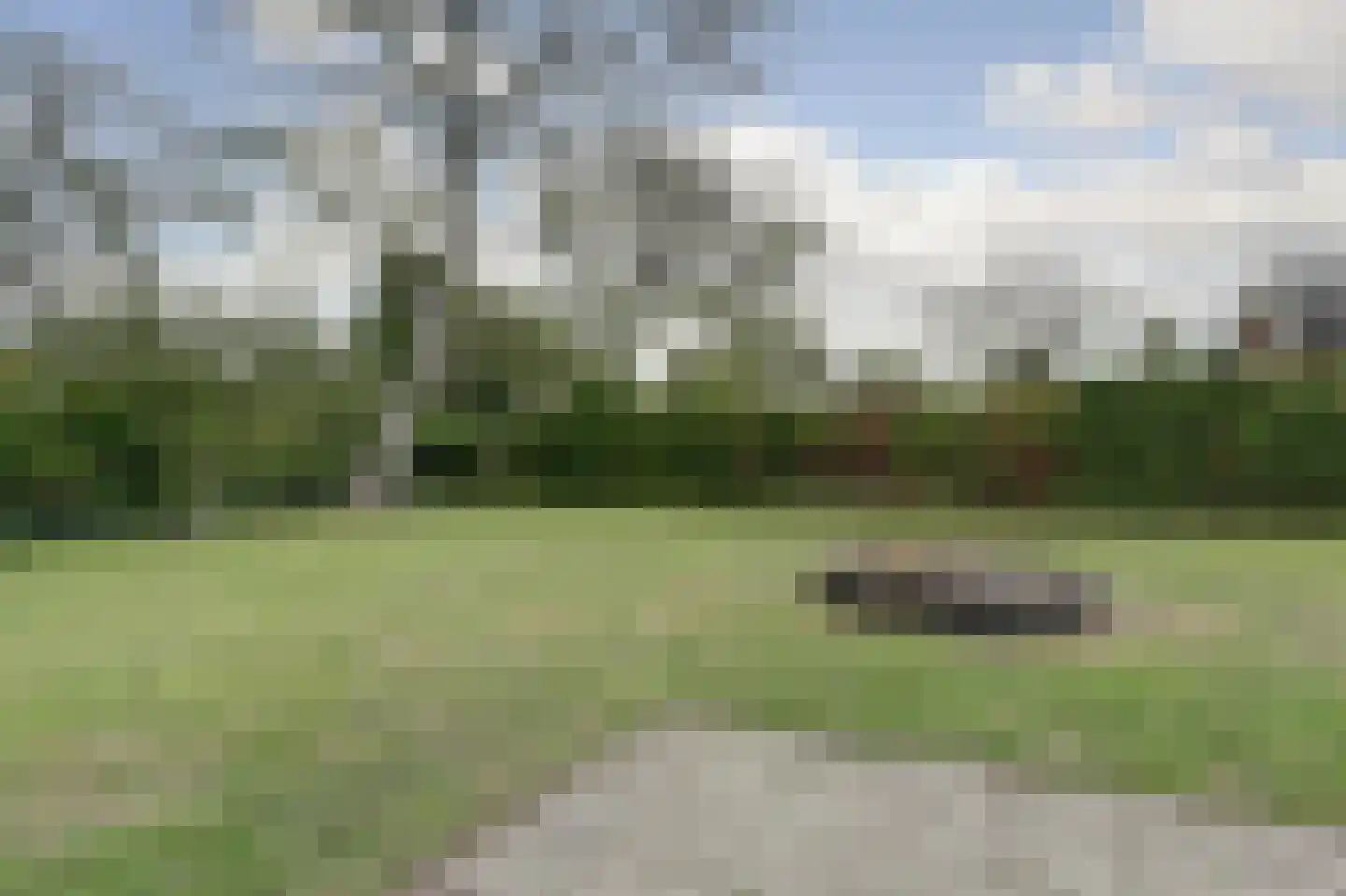 Spaaneindsestraat 6 Esbeek thumbnail 36