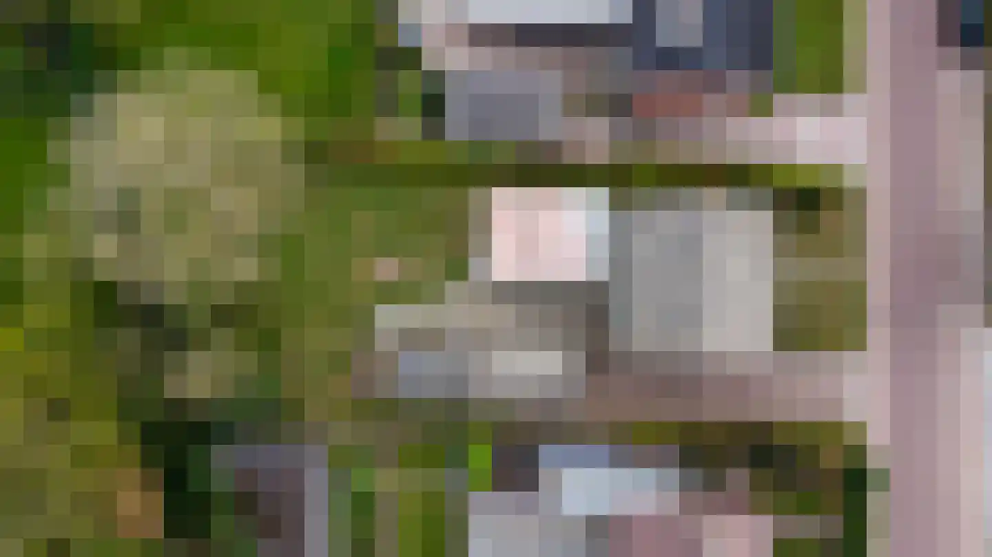 Spaaneindsestraat 6 Esbeek thumbnail 39