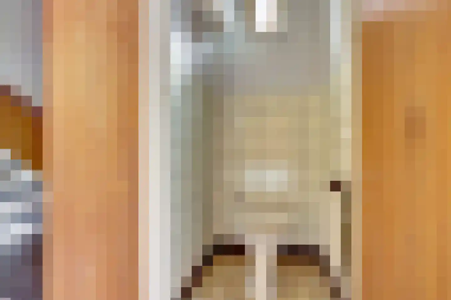 Spaaneindsestraat 6 Esbeek thumbnail 5