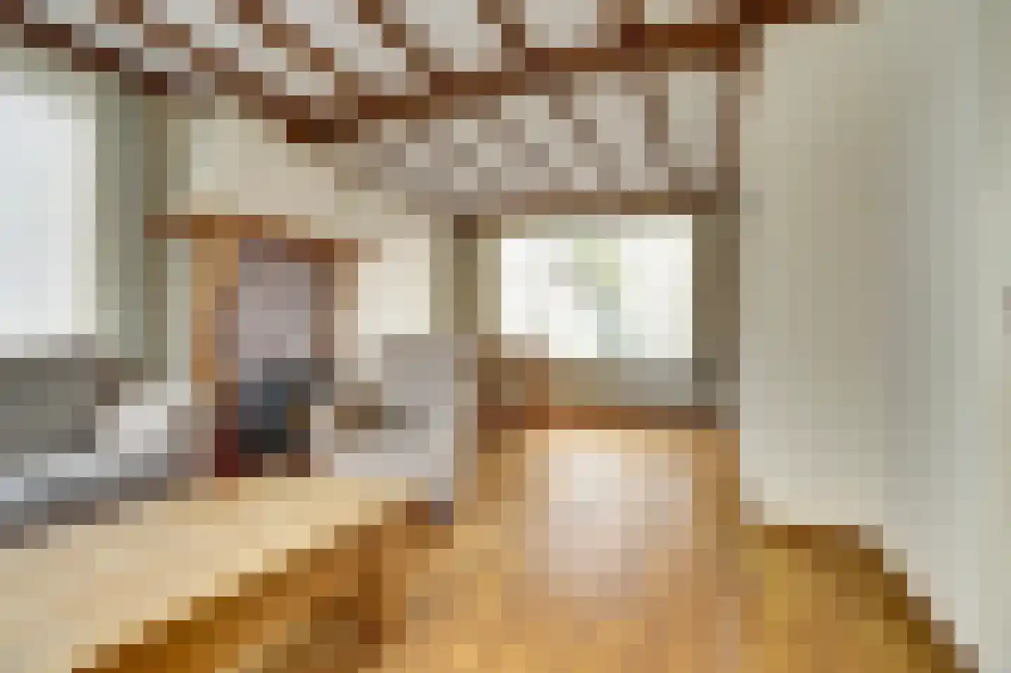 Spaaneindsestraat 6 Esbeek thumbnail 6
