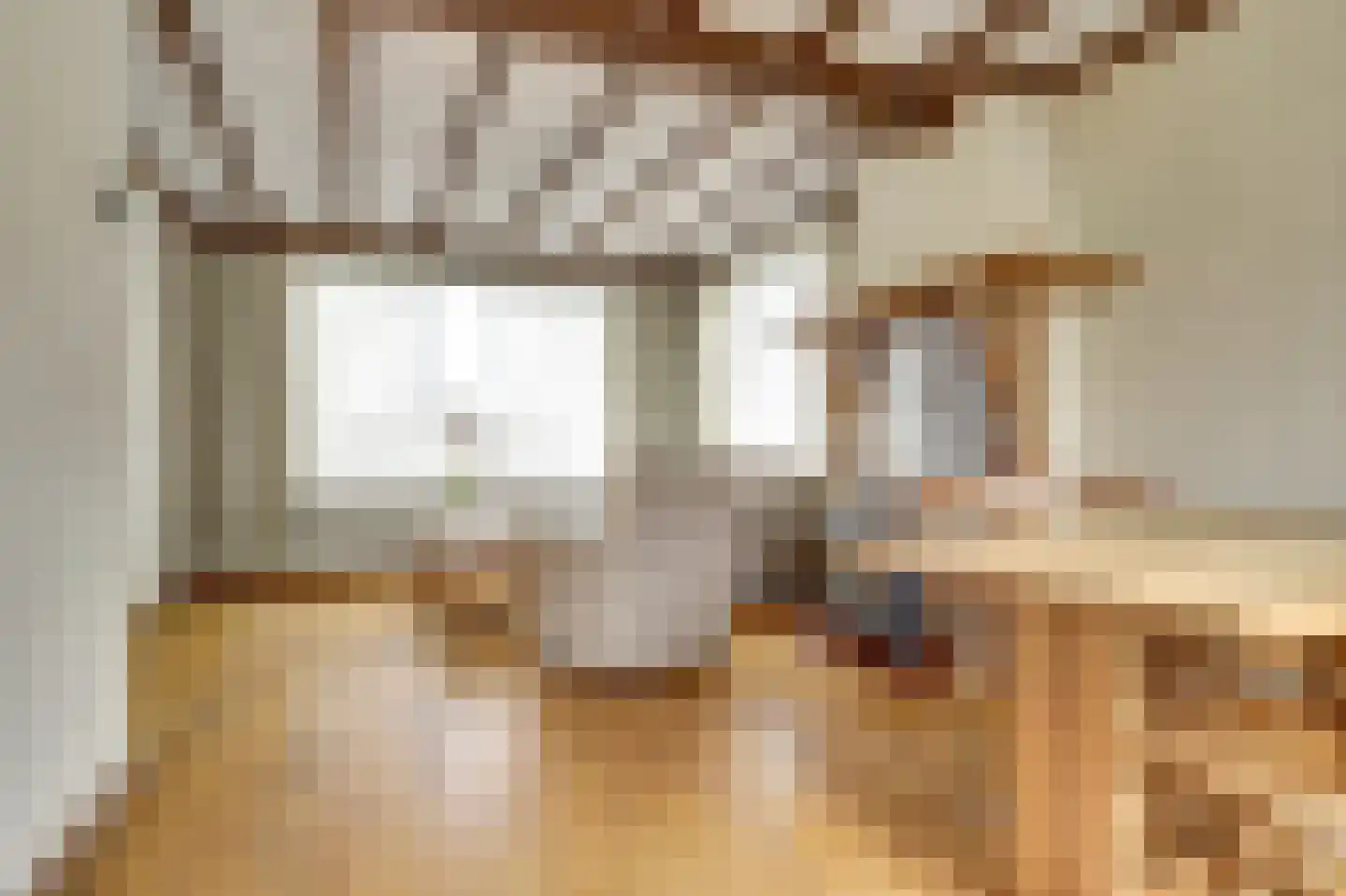Spaaneindsestraat 6 Esbeek thumbnail 7