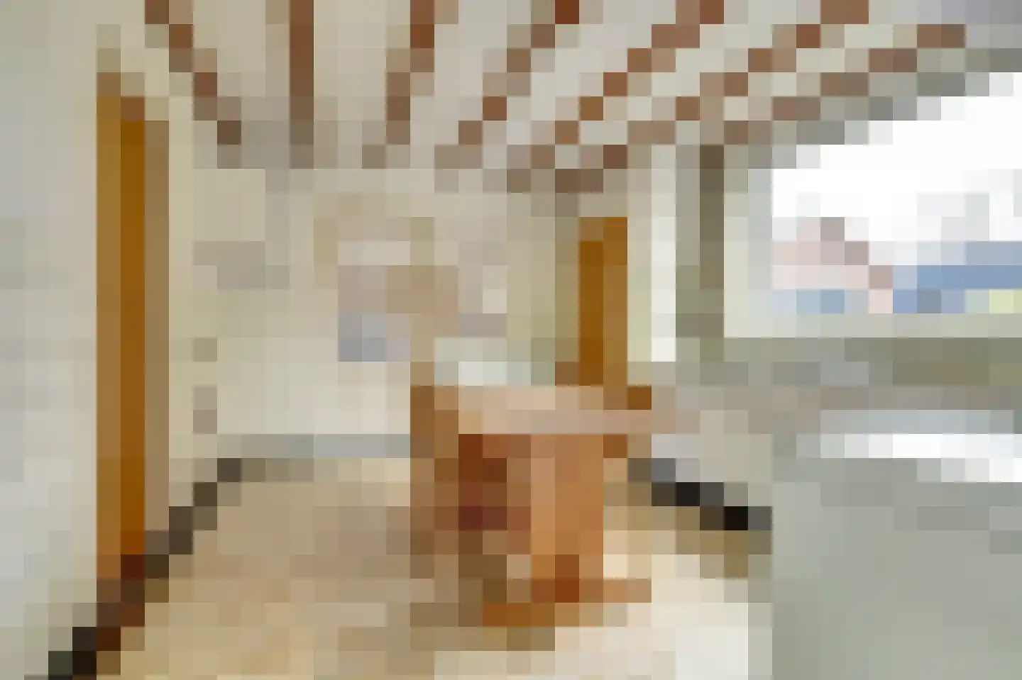 Spaaneindsestraat 6 Esbeek thumbnail 8