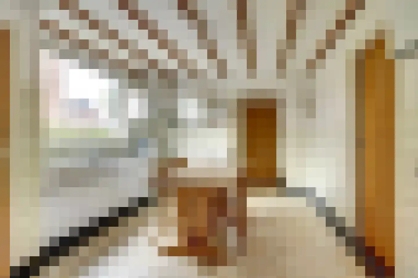 Spaaneindsestraat 6 Esbeek thumbnail 9