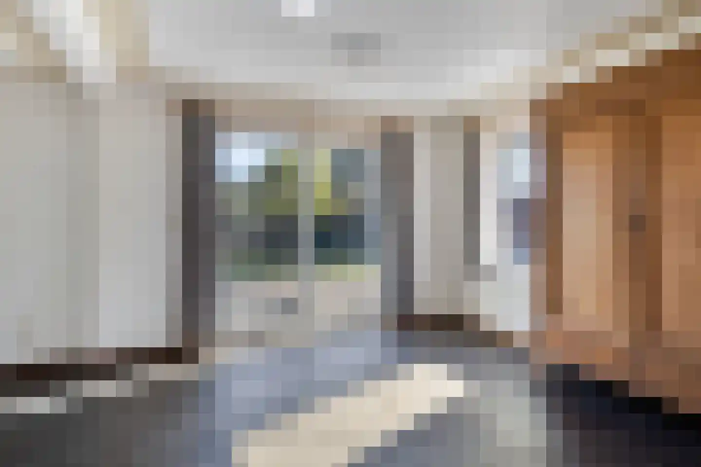 Spaaneindsestraat 9 Esbeek thumbnail 10