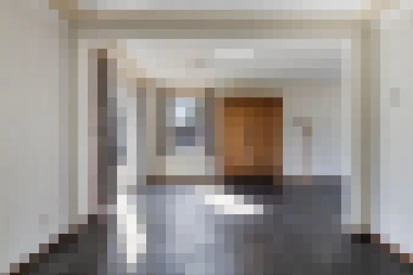 Spaaneindsestraat 9 Esbeek thumbnail 11
