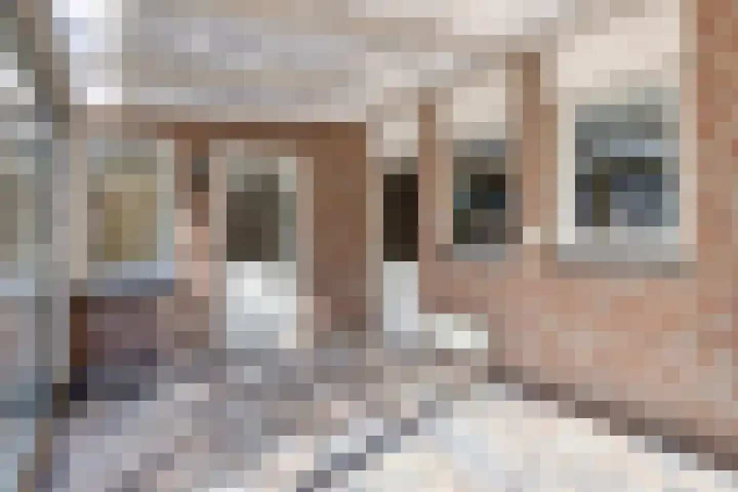 Spaaneindsestraat 9 Esbeek thumbnail 14