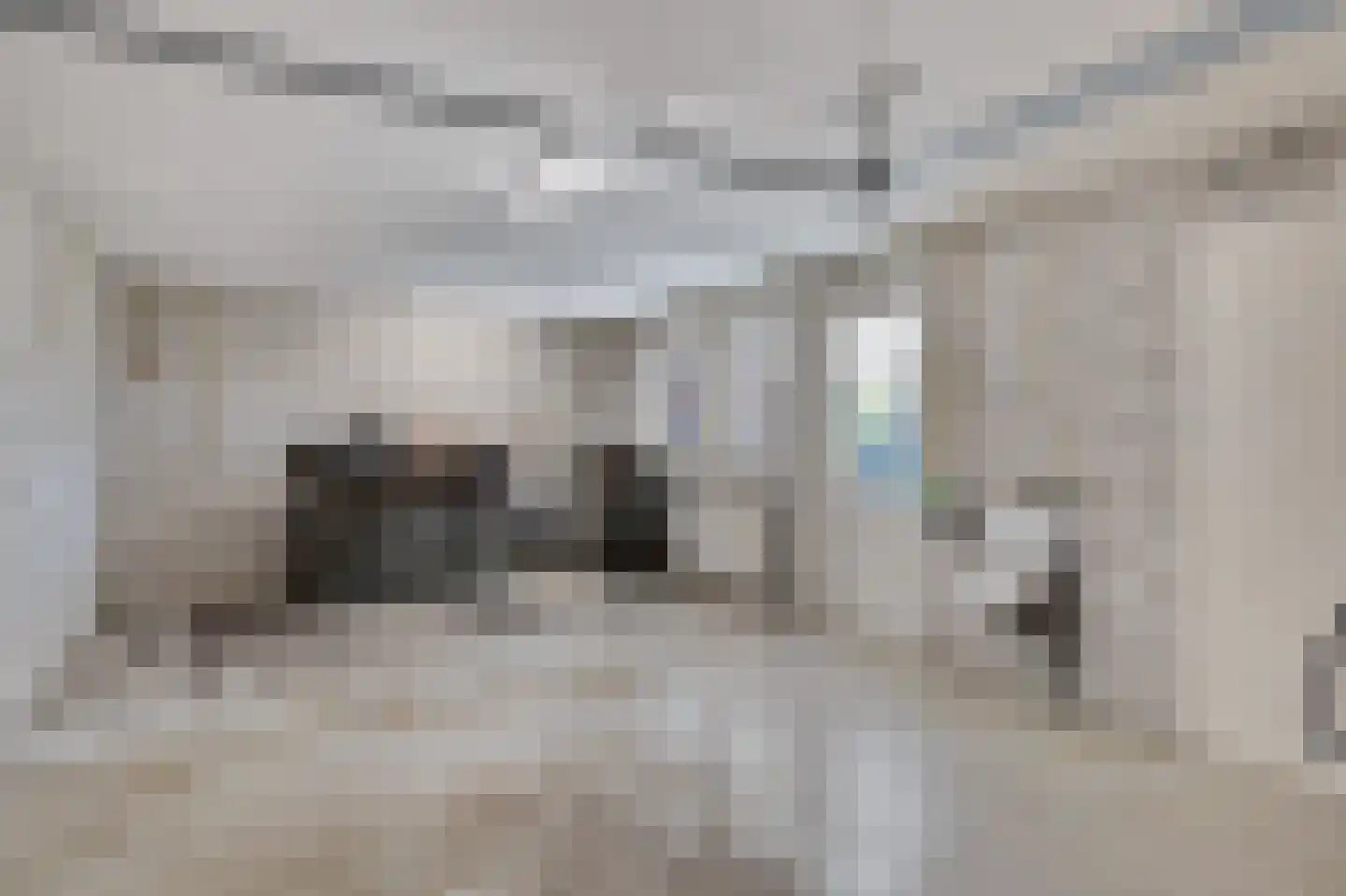Spaaneindsestraat 9 Esbeek thumbnail 17