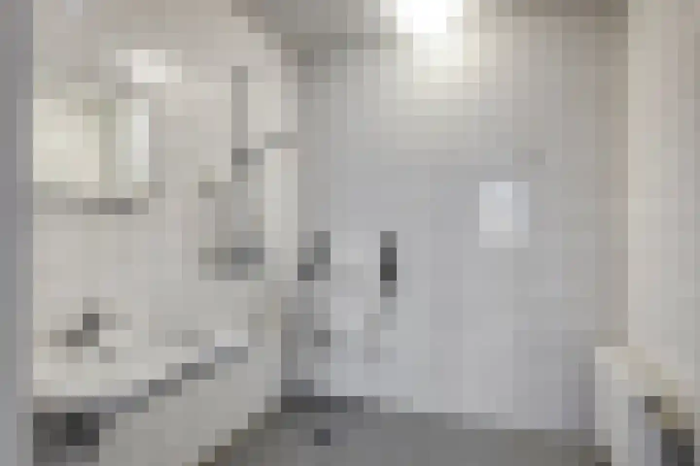 Spaaneindsestraat 9 Esbeek thumbnail 19