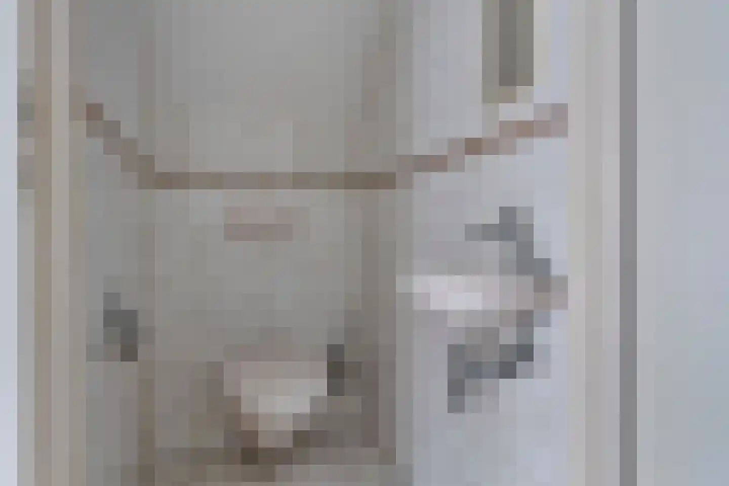 Spaaneindsestraat 9 Esbeek thumbnail 21