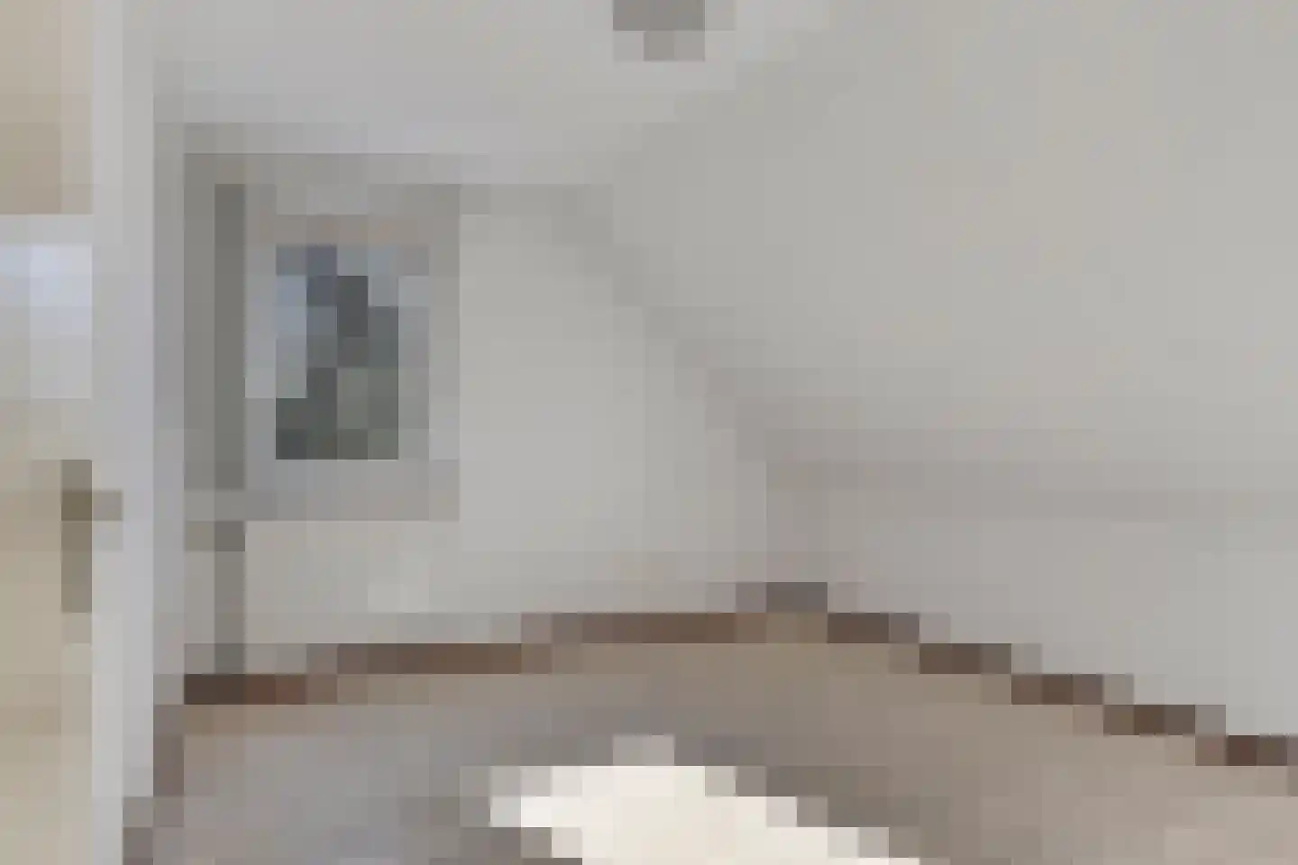 Spaaneindsestraat 9 Esbeek thumbnail 25