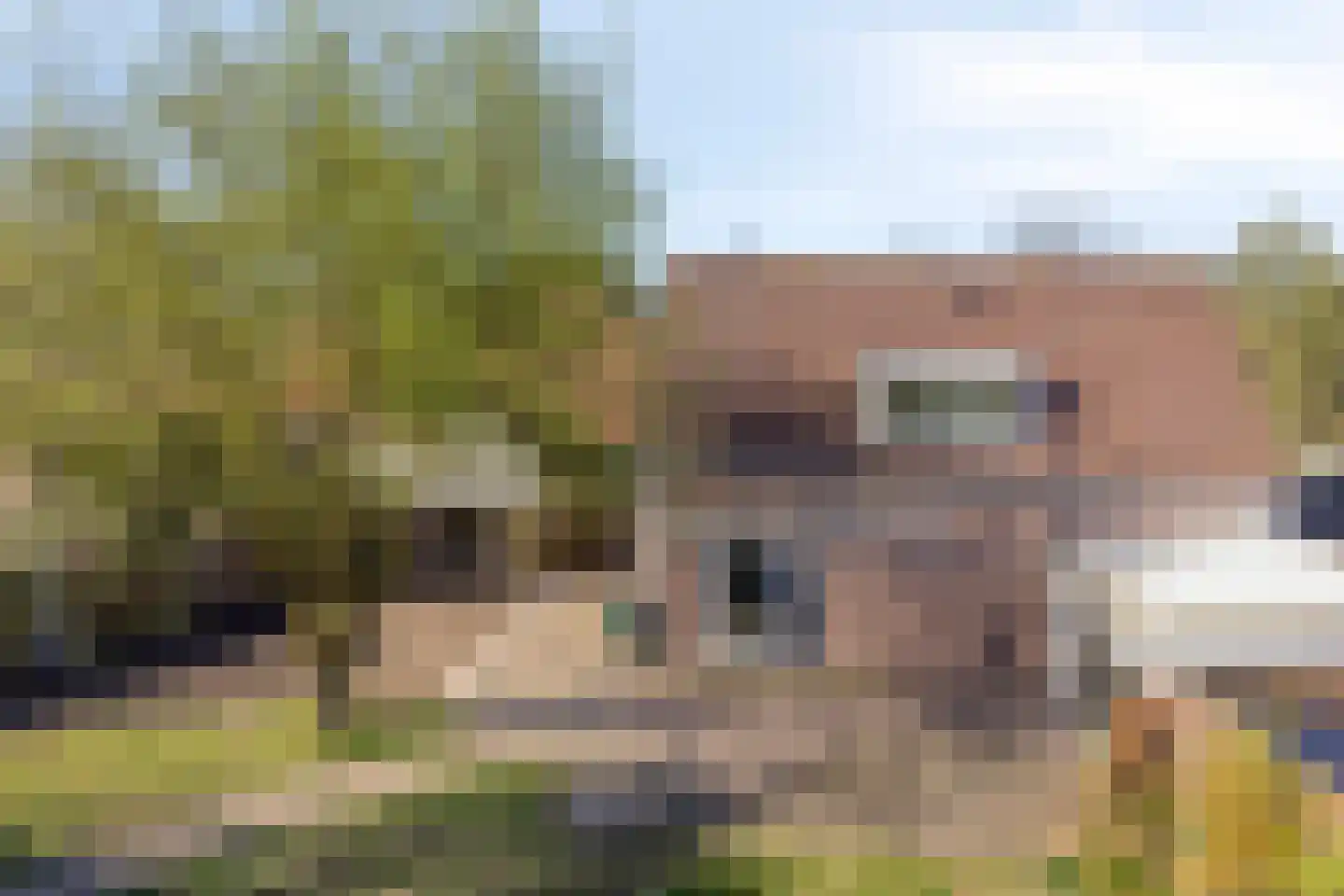 Spaaneindsestraat 9 Esbeek thumbnail 30