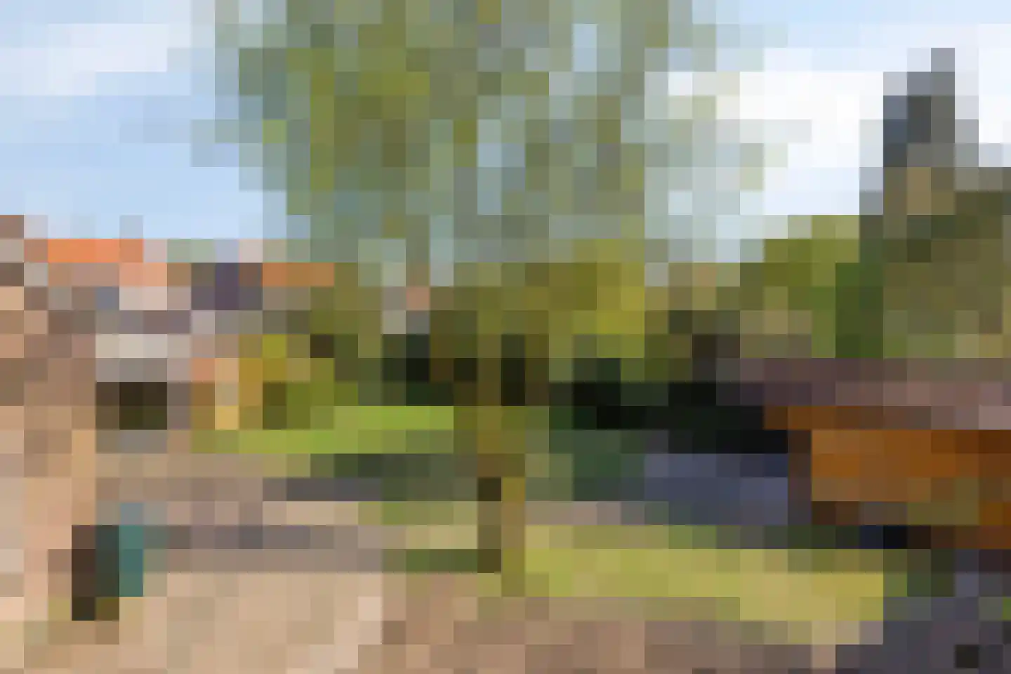 Spaaneindsestraat 9 Esbeek thumbnail 34
