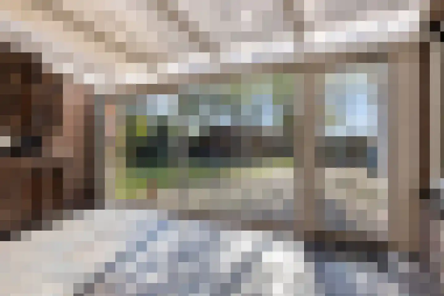 Spaaneindsestraat 9 Esbeek thumbnail 5