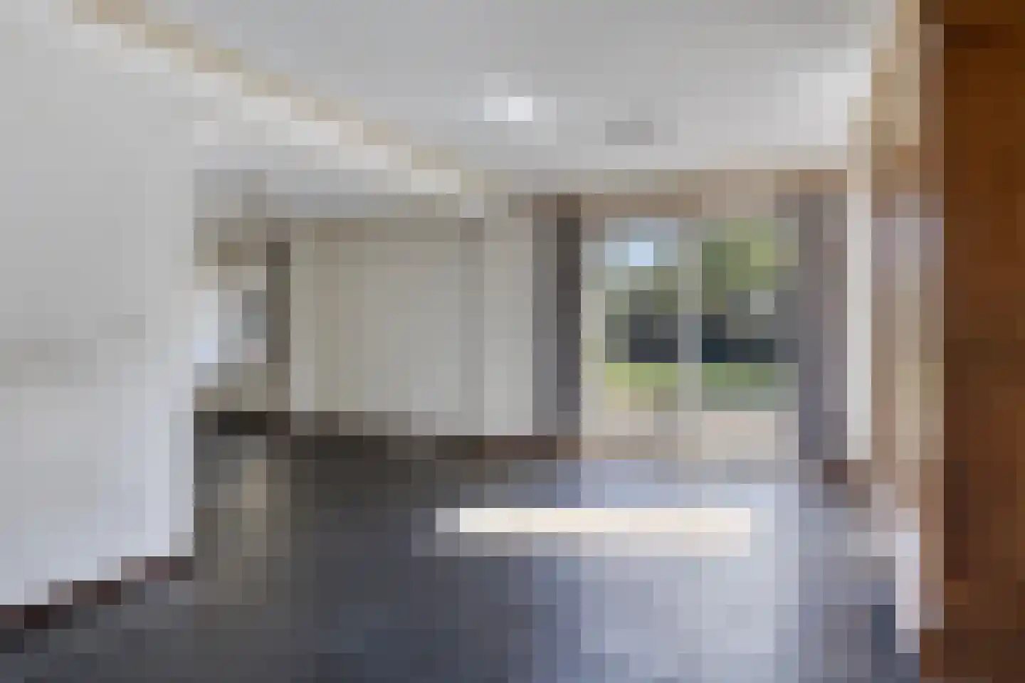 Spaaneindsestraat 9 Esbeek thumbnail 9