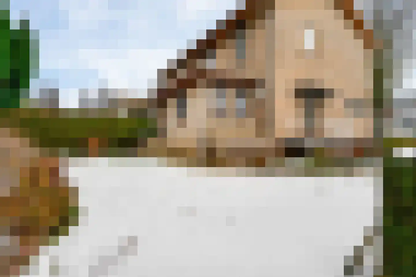 Spaans Neerbeek 20 Geleen thumbnail 4
