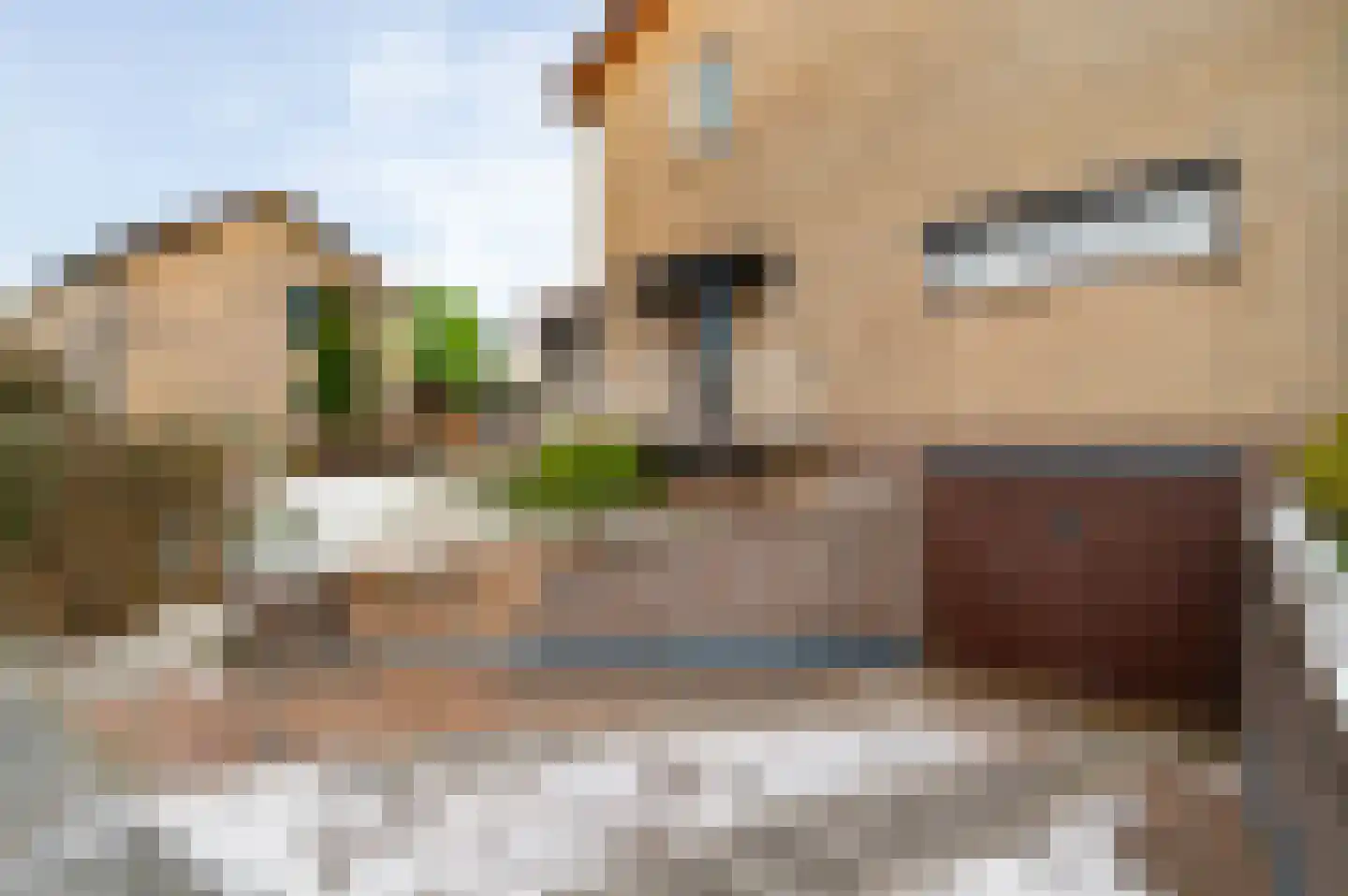 Spaans Neerbeek 20 Geleen thumbnail 5