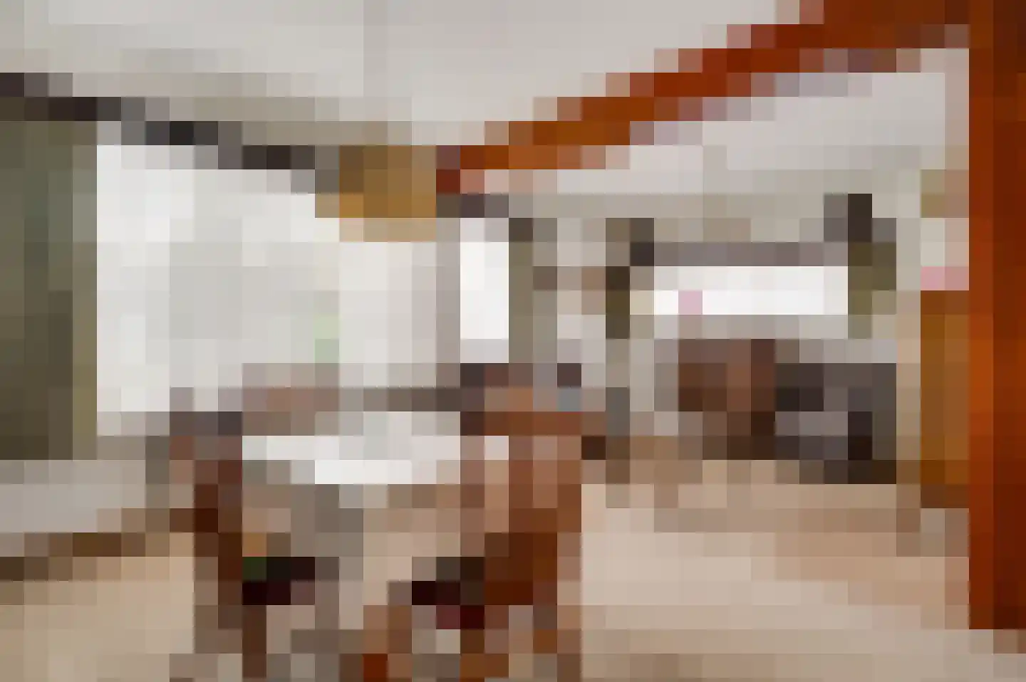Spaans Neerbeek 20 Geleen thumbnail 8