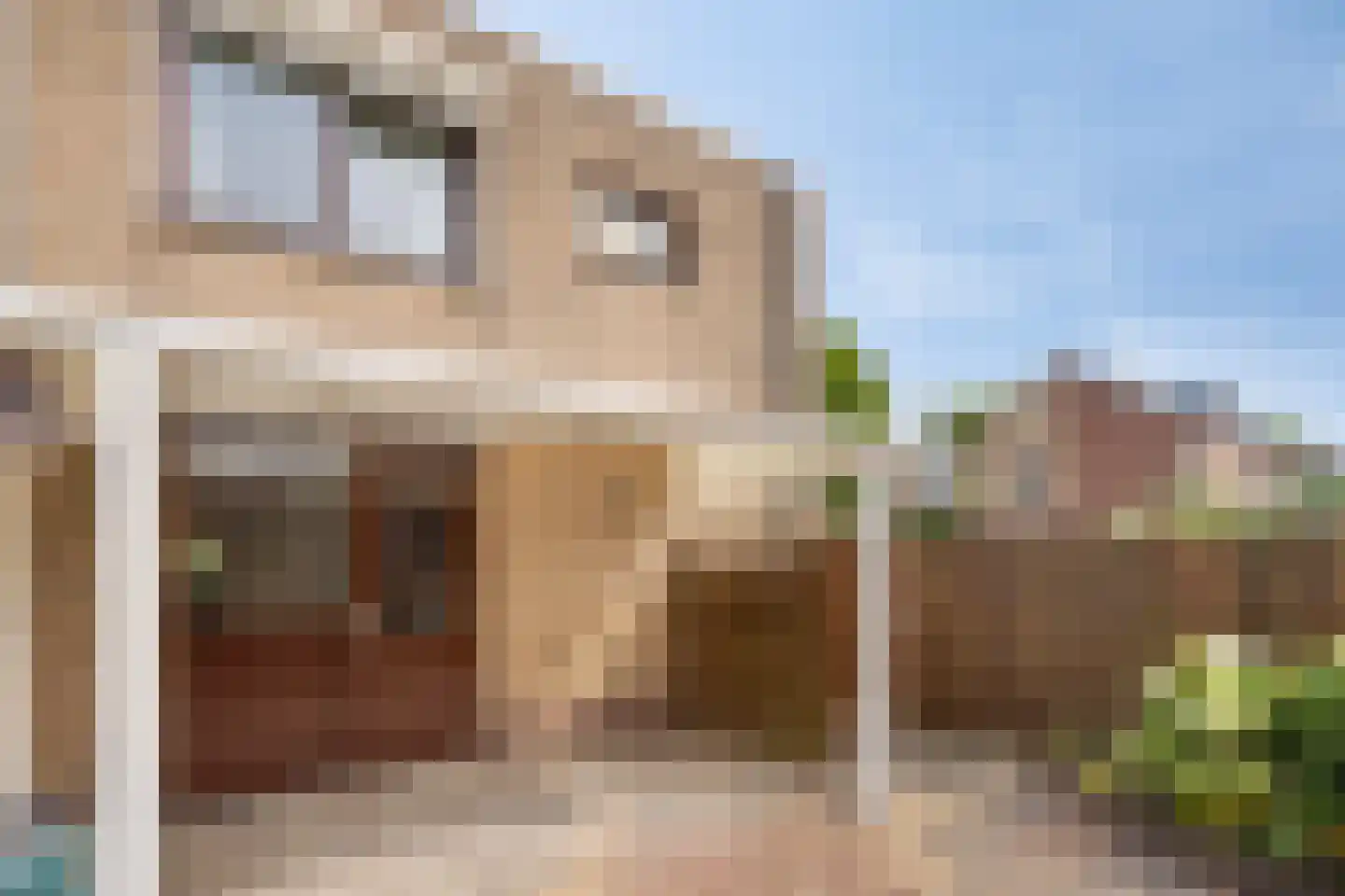 Spaans Neerbeek 38 Geleen thumbnail 21