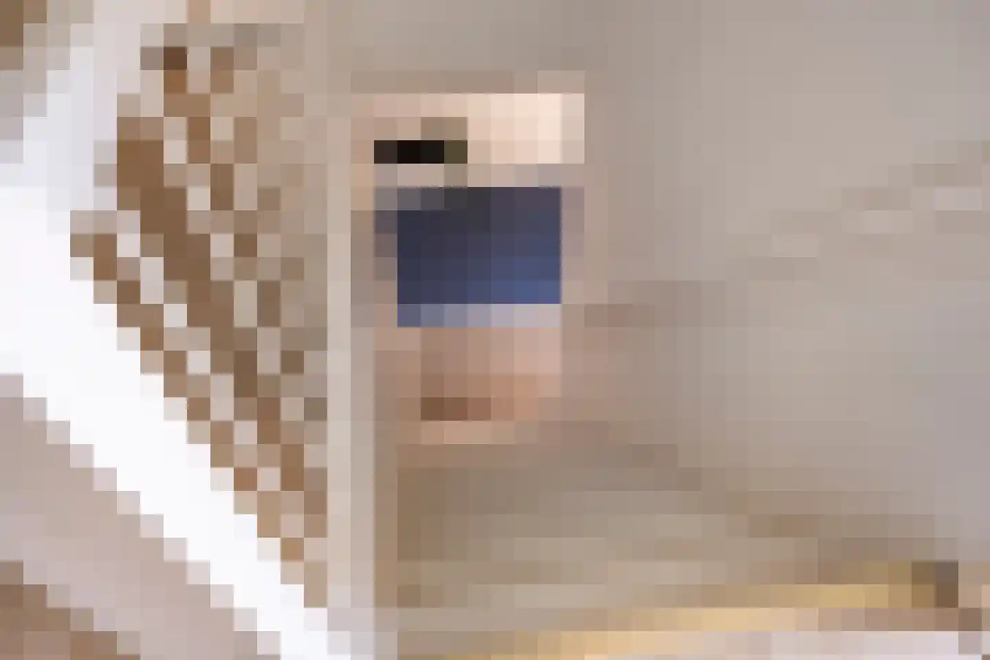 Spaanse Aakstraat 5 Groningen thumbnail 25