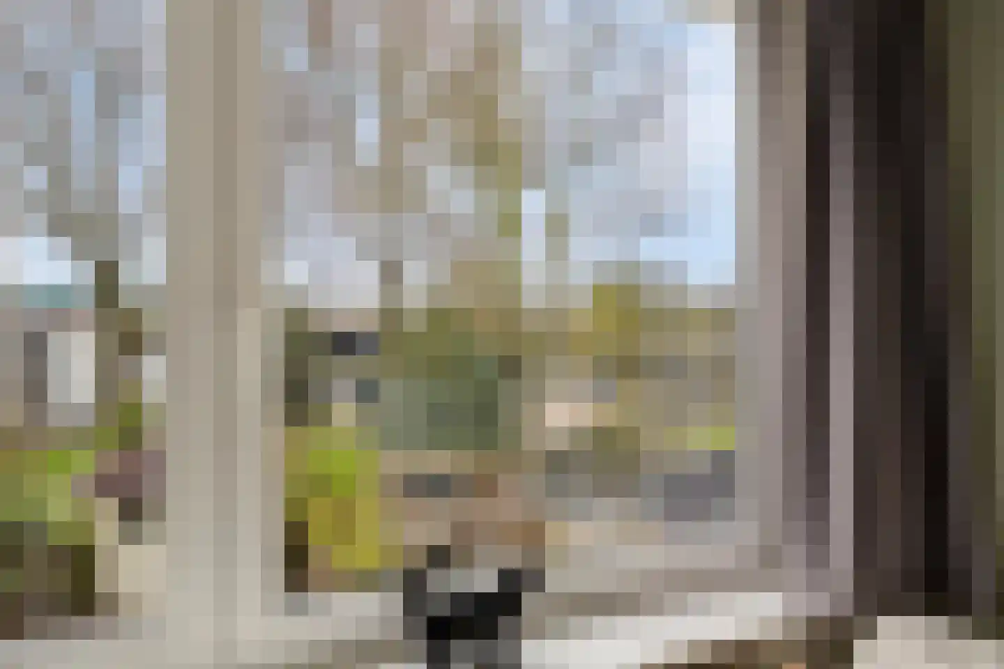 Spaanse Aakstraat 5 Groningen thumbnail 33