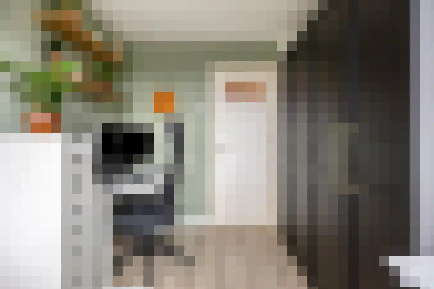 Spaanse Aakstraat 5 Groningen thumbnail 34