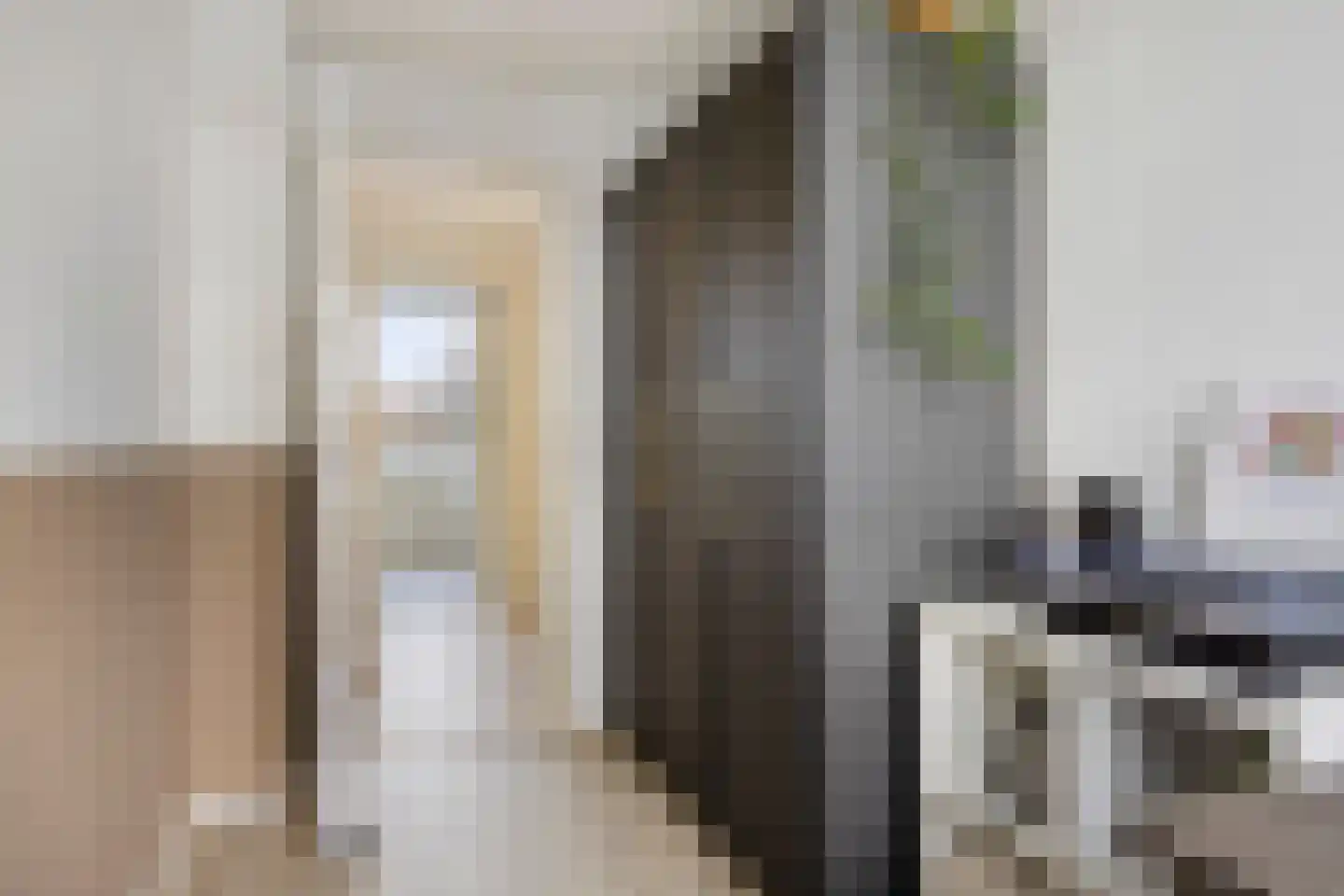 Spaanse Aakstraat 5 Groningen thumbnail 36