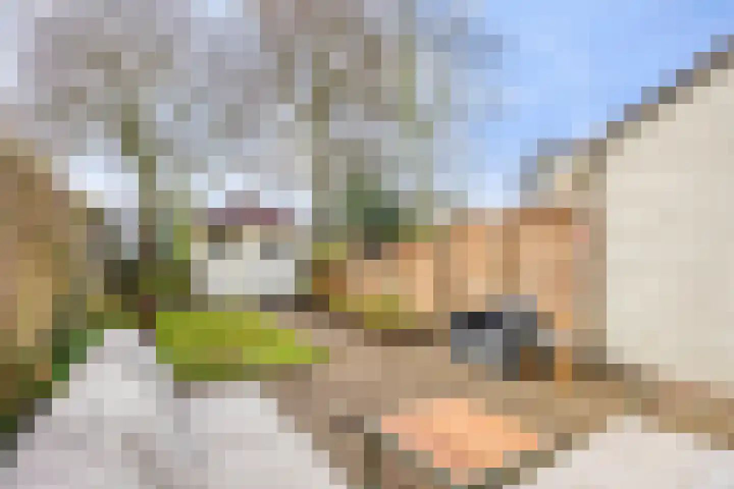 Spaanse Aakstraat 5 Groningen thumbnail 37