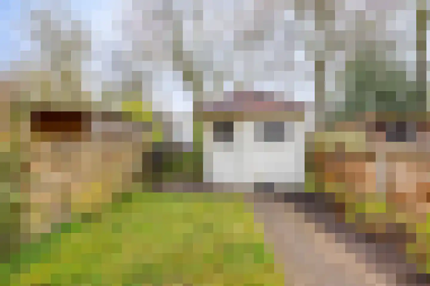 Spaanse Aakstraat 5 Groningen thumbnail 38